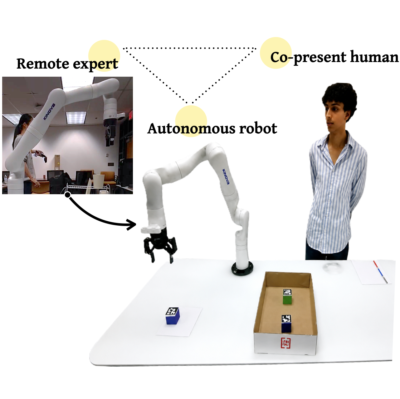 Multi-Human Multi-Robot Interaction
